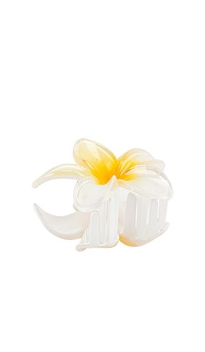 Clip super bloom en color ivory talla all - Emi Jay - Modalova