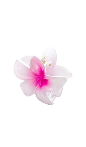 Clip super bloom en color fucsia talla all en - Fuchsia. Talla all - Emi Jay - Modalova