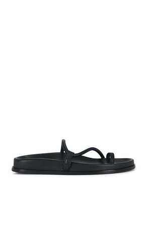 Bari Sandal in . Size 36. Also in 37, 38, 40 - Emme Parsons - Modalova
