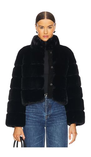 Dylan Faux Fur Jacket in . Size M, XS - ELLIATT - Modalova