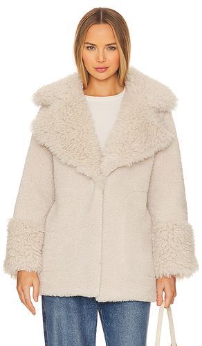 April faux fur teddy jacket in color ivory size 10/M in - Ivory. Size 10/M (also in 6/XS, 8/S) - Ena Pelly - Modalova