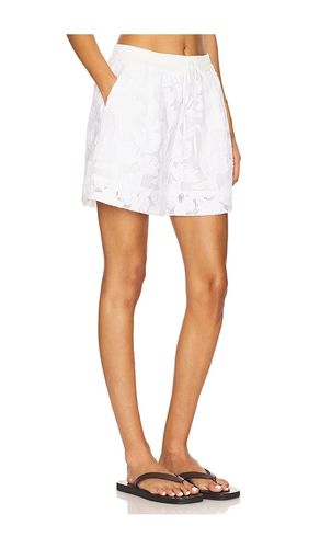 Hazer Lace Shorts in . Size 32. Also in 34, 36, 40 - Essentiel Antwerp - Modalova