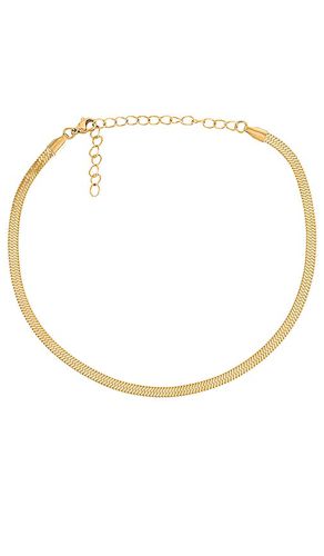 Nic Snake Chain Choker Necklace in - Ellie Vail - Modalova