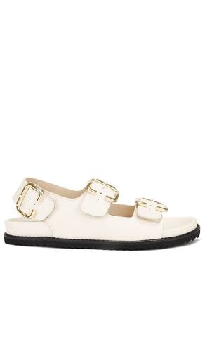 Piper Sandal in . Size 6 - Freda Salvador - Modalova