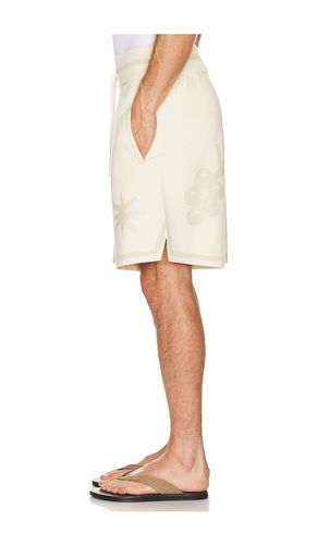 Breaking Bread Knit Short in . Size S. Also in L, XL/1X - Filling Pieces - Modalova