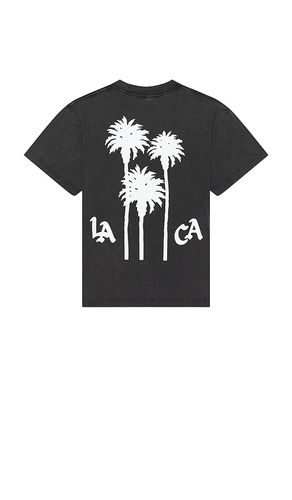 X REVOLVE LA Palms Premium Tee in . Size M, S, XL/1X - Free & Easy - Modalova