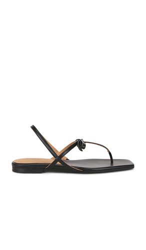Sina Sandal in . Size 37. Also in 38, 39 - Flattered - Modalova
