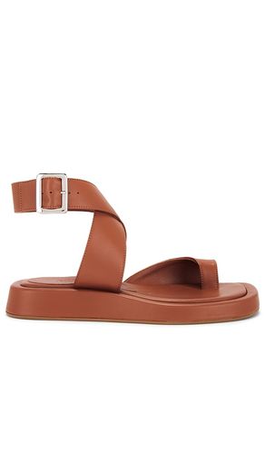 X REVOLVE Roxanne Sandal in . Size 37.5, 38.5, 39, 39.5, 41 - GIA BORGHINI - Modalova