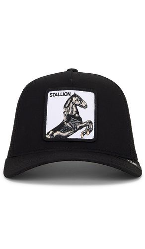 The Stallion Hat in - Goorin Brothers - Modalova
