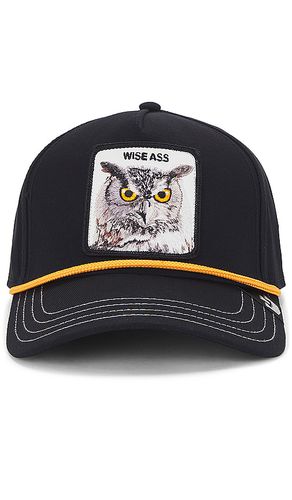 Wise Owl Hat in - Goorin Brothers - Modalova