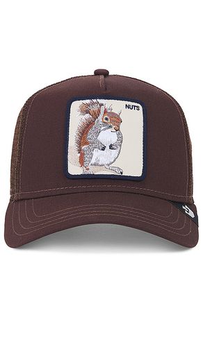 The Nuts Squirrel Hat in - Goorin Brothers - Modalova