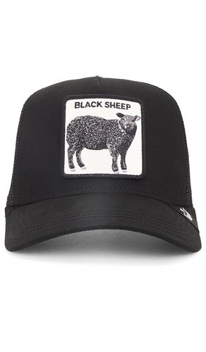 The sheep hat in color size all in - . Size all - Goorin Brothers - Modalova