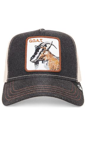 The Goat Hat in - Goorin Brothers - Modalova