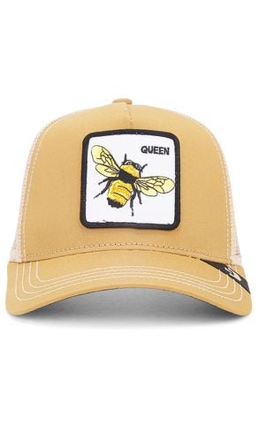 The Queen Bee Hat in - Goorin Brothers - Modalova