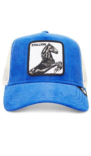 Sombrero en color talla all en - Blue. Talla all - Goorin Brothers - Modalova