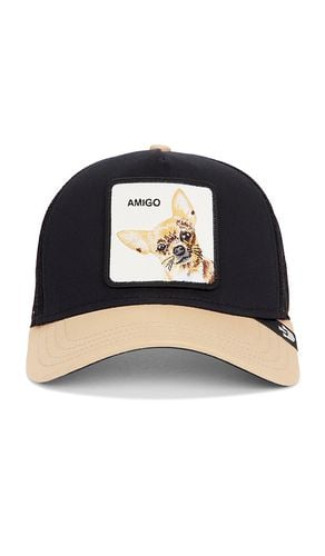 The Amigo Hat in - Goorin Brothers - Modalova