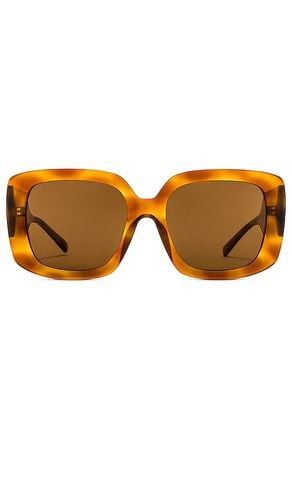 Negroni Sunglasses in - HAWKERS - Modalova