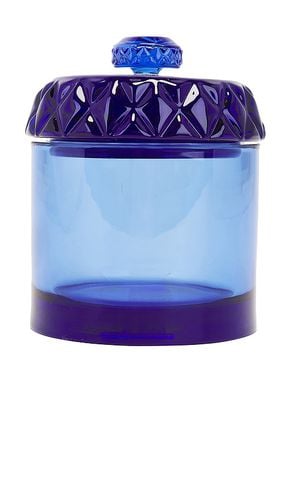 Houseplant Glass Stash Jar in Blue - Houseplant - Modalova