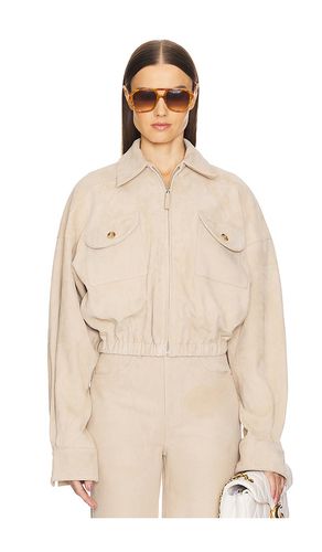 Chaqueta suede bomber en color beige talla L en - Beige. Talla L (también en M, S, XL, XS) - Helsa - Modalova