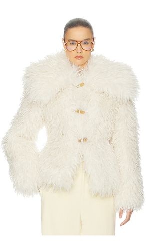 Dramatic Collar Faux Shearling Jacket in . Size S. Also in XXS - Helsa - Modalova