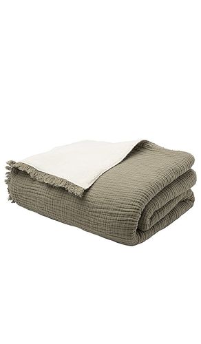 TEDDYFLEECE-DECKE ALAIA ALAIA SHERPA THROW in - House No. 23 - Modalova