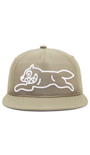 Money's On My Mind Snapback Hat in - ICECREAM - Modalova