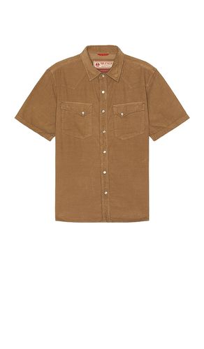 Cody Shirt in . Taglia XL/1X - Iron & Resin - Modalova