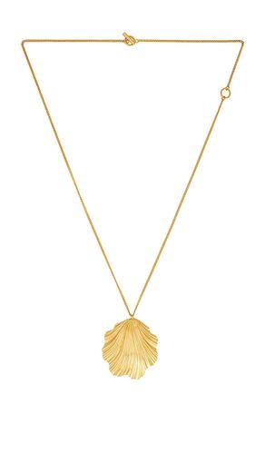 Coquille Necklace in - Julietta - Modalova