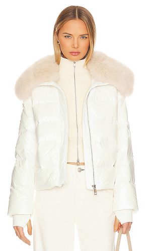 Nylon Puffer Jacket With Faux Collar in . Size M, XL - jocelyn - Modalova