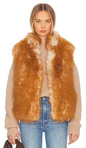 Long Hair Faux Fur Reversible Vest in . Size M, S - jocelyn - Modalova