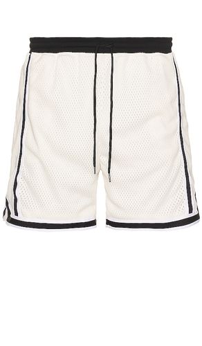 Vintage Varsity Shorts in . Size M, S, XL/1X - JOHN ELLIOTT - Modalova