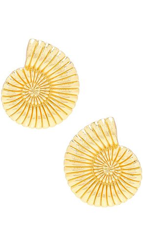 Vintage Shell Earrings in - Jordan Road Jewelry - Modalova