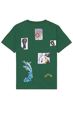 Camiseta en color talla L en - Green. Talla L (también en M, XL/1X) - Jungles - Modalova