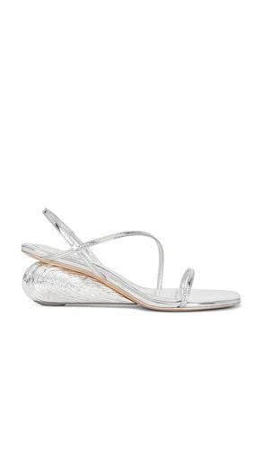 Bridget Oyster Shell Wedge Sandal in . Size 38, 40 - SIMKHAI - Modalova