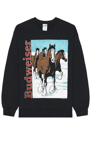 Budweiser Clydesdale Sweatshirt in . Size M, S - Junk Food - Modalova