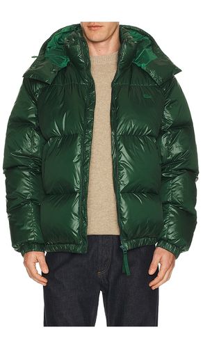Nylon Shiney Puffer Jacket in . Size 46. Also in 54, 58 - Lacoste - Modalova