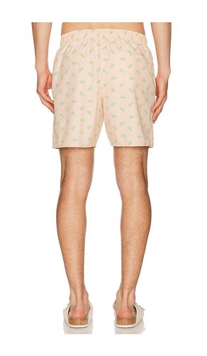 Swim Short in . Size L. Also in S, XL/1X - Lacoste - Modalova