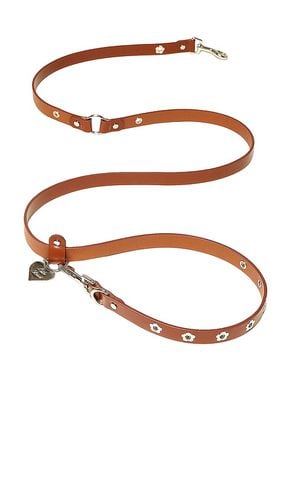 Flower Power Leash in - Little Beast - Modalova