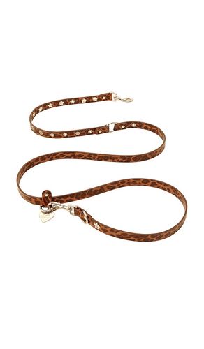 Cougar Flower Power Leash in - Little Beast - Modalova