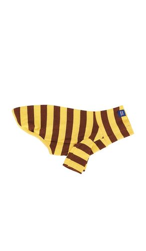 Striped Shirt in ,. Size S. Also in - Little Beast - Modalova