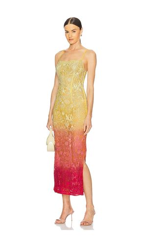 Golden Hour Maxi Dress in ,. Size M, S, XS - LA FUORI - Modalova
