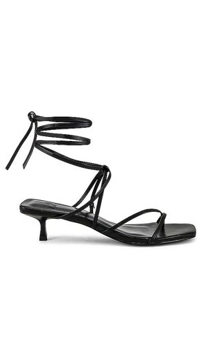 Carmella heel in color size 5.5 in - . Size 5.5 (also in 6, 6.5, 8.5) - LPA - Modalova