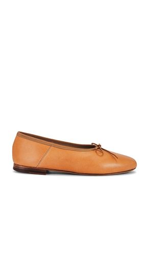 Balerina plana dream en color bronce talla 36 en - Tan. Talla 36 (también en 36.5, 37.5, 40) - Mansur Gavriel - Modalova