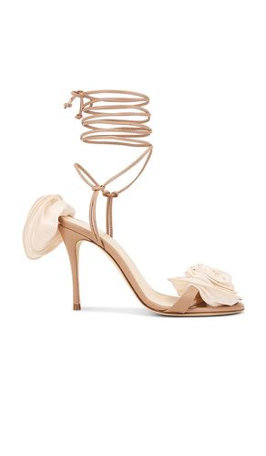 Flower Sandal in . Size 41 - Magda Butrym - Modalova