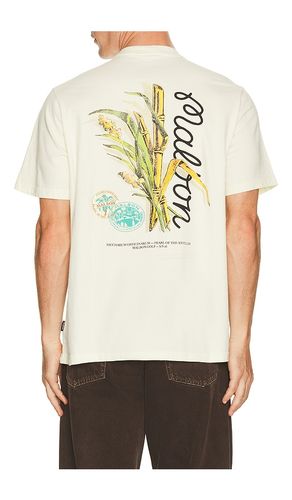 Origin Tee in . Size S. Also in XL/1X - Malbon - Modalova
