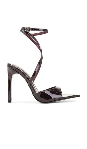 Tanya Sandal in . Size 6, 7, 8, 9 - Michael Costello - Modalova