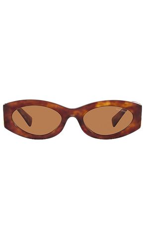 Miu Miu Oval Sunglasses in Brown - Miu Miu - Modalova