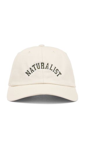 Sombrero naturalist en color crema talla all en - Cream. Talla all - Museum of Peace and Quiet - Modalova