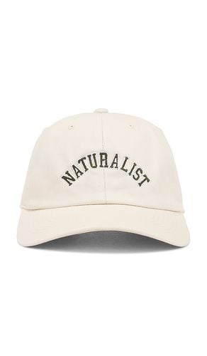 Naturalist Dad Hat in - Museum of Peace and Quiet - Modalova