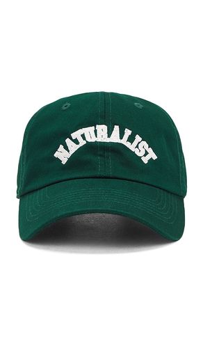 Naturalist Dad Hat in - Museum of Peace and Quiet - Modalova